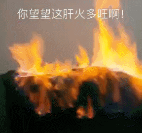 大翻車！“權健必勝，為權健正名！”權健系發(fā)起投票，結果慘不忍睹