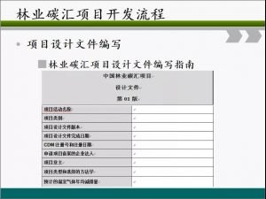 信樹碳匯-林業碳匯項目開發流程及案例