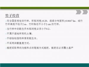 信樹碳匯-林業碳匯項目開發流程及案例