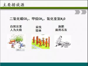 信樹碳匯-林業碳匯項目開發流程及案例