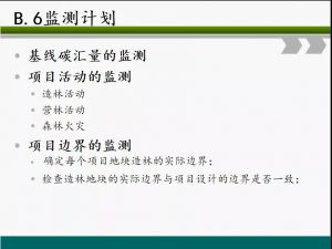 信樹碳匯-林業碳匯項目開發流程及案例