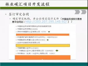 信樹碳匯-林業碳匯項目開發流程及案例