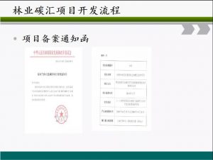 信樹碳匯-林業碳匯項目開發流程及案例