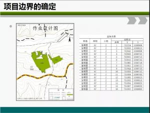 信樹碳匯-林業碳匯項目開發流程及案例