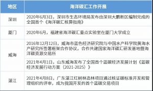 海洋碳匯如何核算經濟價值？